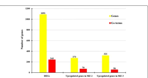 Fig. 3 GO analysis of differently expressed genes. The results are divided into three main categories: molecular function, biological process andcellular component