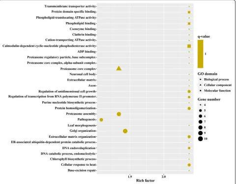 Fig. 5 The top 30 of GO enrichment of significantly upregulated genes