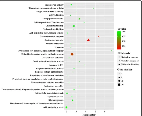 Fig. 6 The top 30 of GO enrichment of significant upregulated genes in MZ-2