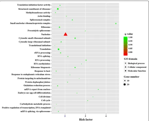 Fig. 7 The top 30 of GO enrichment of significant upregulated genes in MZ-3