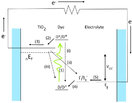 Figure 1.1 Process scheme of DSSC power generation.  Forward (current and voltage 