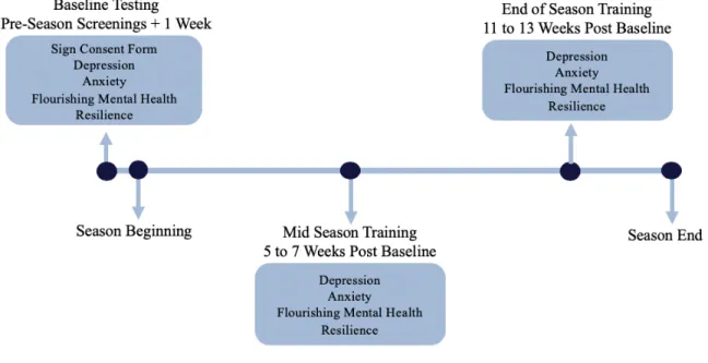 Figure 3. Procedural Timeline 