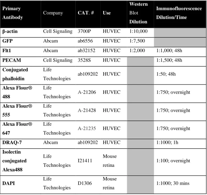 Table 2.1: Antibodies and Nuclear Stains.  