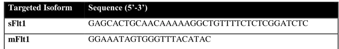 Table 2.2: siRNA sequences targeting Flt1 isoforms.  