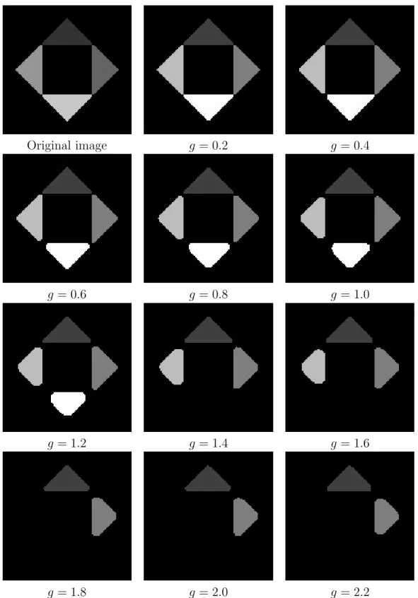 Figure 2.5: Synthetic example demonstrating the regularization bias of isotropic three- three-label segmentation applied to multiple objects