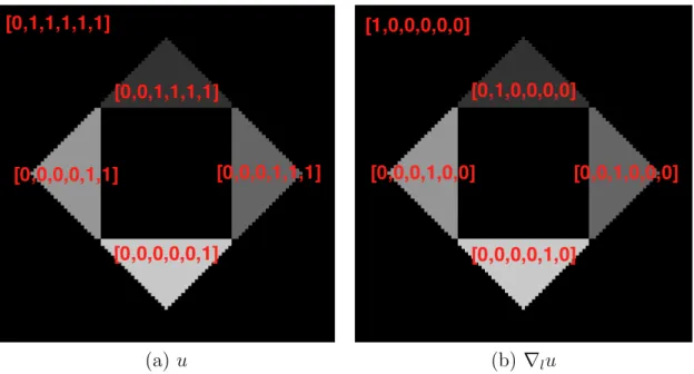 Figure 2.9: Function u and ∇ l u for each object. The labels are assigned as follows.