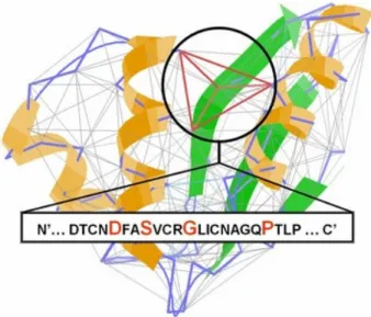 Figure  1.2:  An  Almost  Delaunay  (AD)  graph  of  a  protein  structure;  a  subgraph  DSGP  (showed  in  red) is a sub-structural pattern of that protein graph 43 