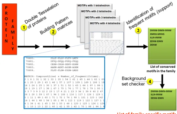 Figure  2.2:  The  overall  workflow  to  identify  family approach.