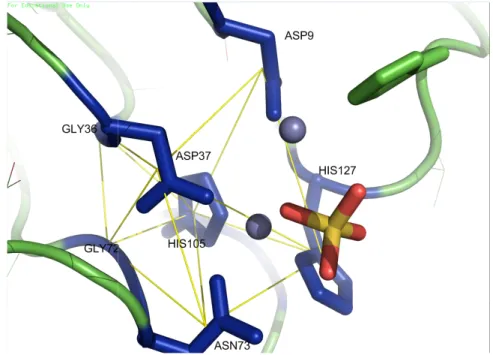 Figure 2.6: Visualization of the Metallophos retrieved by CASIM for protein
