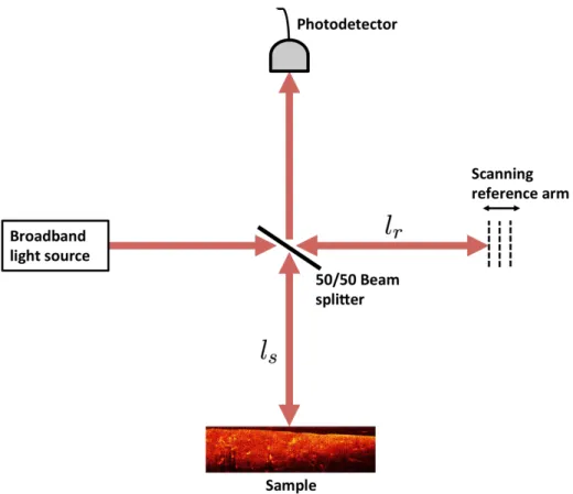 Figure 3.2: A TD-OCT system consisting of a low coherence light source, Michelson interferometer, and a photodetector
