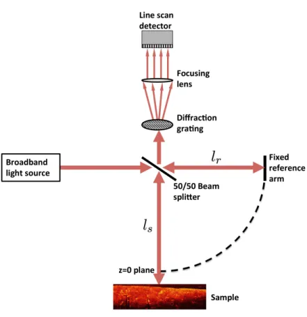 Figure 3.3: An SD-OCT system consisting of a low coherence light source, Michelson interferometer, and a dispersive spectrometer which is comprised of a diffraction grating, focusing lens and a line scan camera