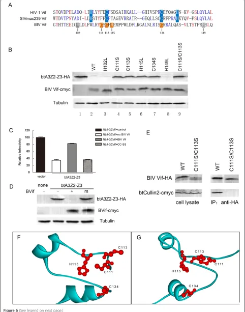 Figure 6 (See legend on next page.)