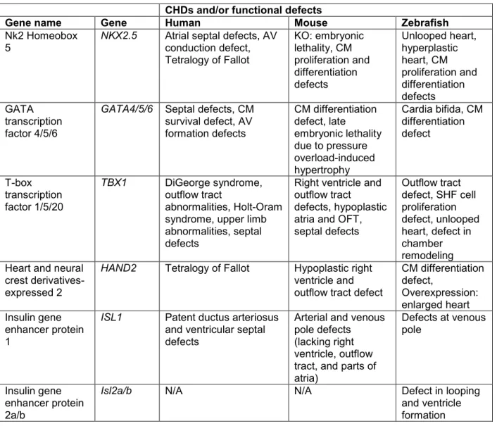 Table 1 Chapter 1 Summary of genes involved in human, mouse, and zebrafish  cardiogenesis and disease  
