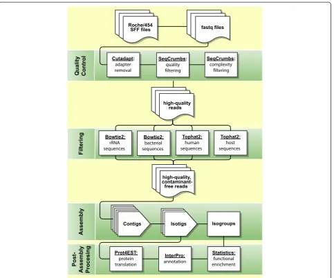 Table 2 Caenorhabditis elegans assembly statistics1