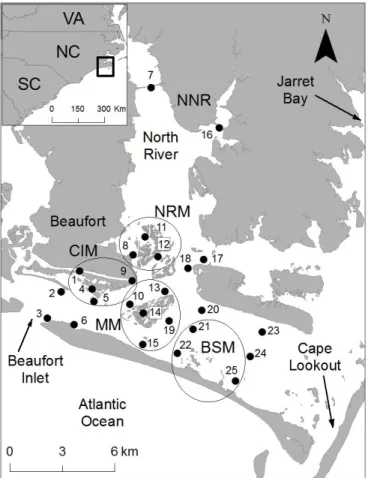 Figure 1.1 Map of the hydrophone observation network labeled with station identification  numbers
