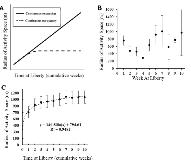 Figure 1.3 Red drum activity space measured through time.  Panels represent A) two theoretical  patterns of cumulative activity space growth through time indicating that fish either continue to  explore new areas over time (solid line) or continue to occup