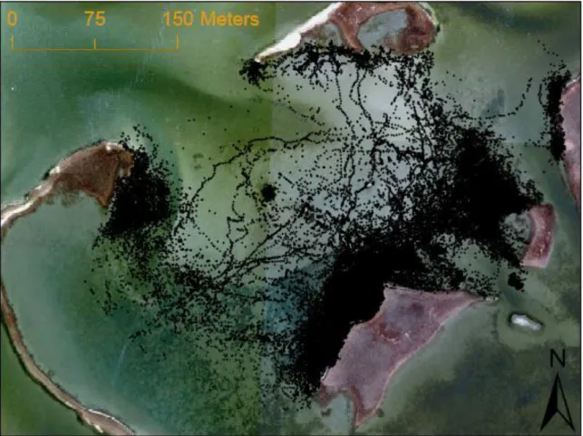 Figure 2.2 Relocations of all fish throughout the entire study superimposed on an aerial image of  the study site