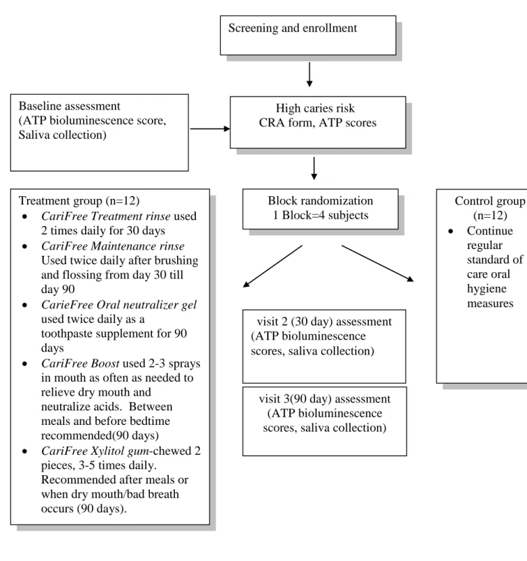 Fig. 4.  Flowchart depicting the Study Design 