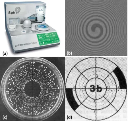 Fig. 6.  Spiral PlaterTM (a) used for spiral plating process (b) over a selective agar  media (c) for 24h and bacterial counts done by zones (d)