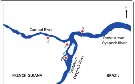 Figure 1 Groups of mosquito collection sites. (a) Ilet Moulat (onthe upstream Oyapock riverside), (b) Saint Soit (on the downstreamOyapock riverside), (c) Camopi main hamlet (at the confluence ofthe Oyapock and Camopi Rivers) and (d) hamlets on the Camopiriverside.