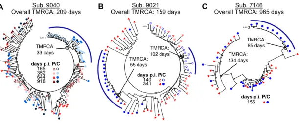 Figure  15:  Compartmentalization  can  persist  and  evolve  independently  within  the  CSF   over  time  