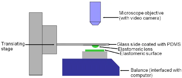 Figure 2.8. Schematic representation of the JKR experimental apparatus 