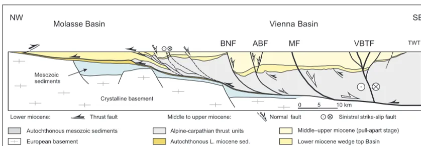 Figure 2. Cross section through the Vienna Basin at its central part based on reﬂection seismic and deep boreholes, indicating the commondetachment of the Alpine ﬂoor thrust, which links the normal splay faults such as the Markgrafneusiedl Fault (MF), Ader