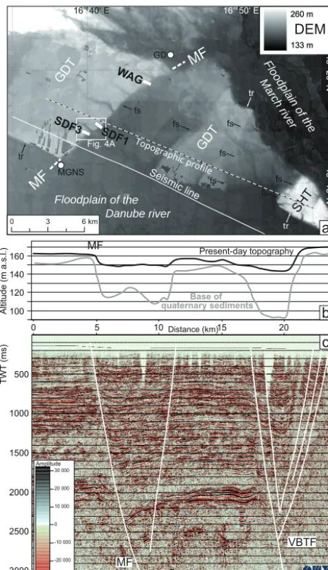 Figure 3. Overview of the Markgrafneusiedl Fault (MF). (a) DEM(10 × 10 m resolution, provided by the government of Lower Aus-tria) showing the Pleistocene terraces north of the River Danube dis-sected by faults creating fault scarps (fs)