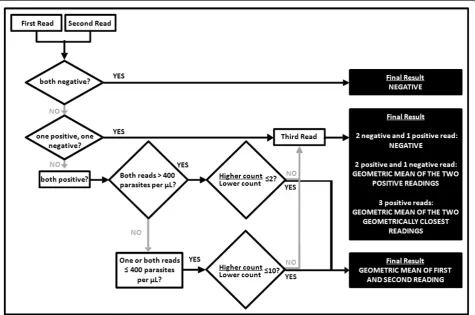 Figure 1 Parasite density counting methodology (method 1).