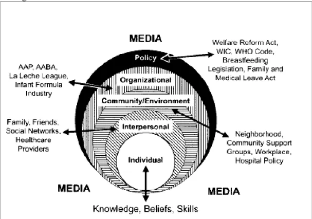 Figure 1.  Influences of breastfeeding choices as represented by a Social     Ecological Framework