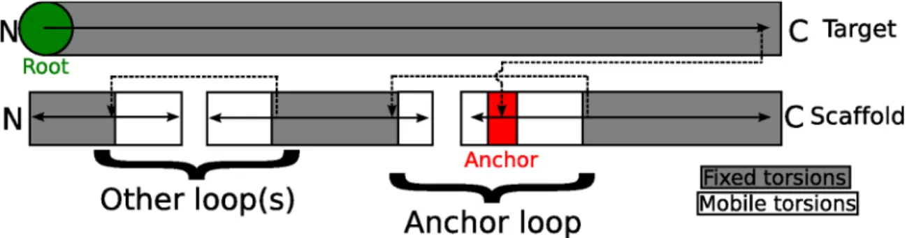Figure 2.4: Fold tree diagram