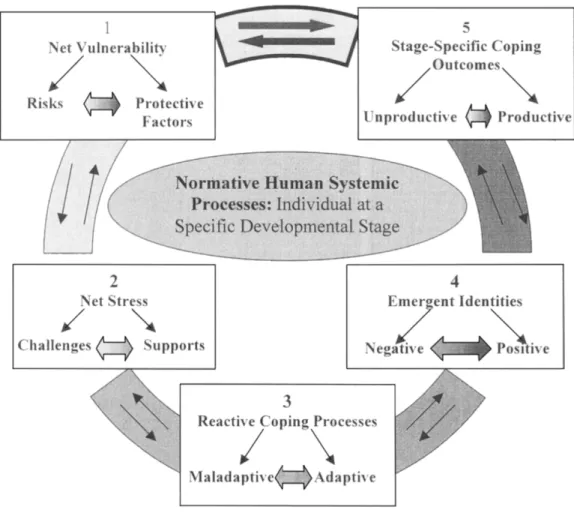 Figure 1. Phenomenological Variant Ecological Systems Theory  
