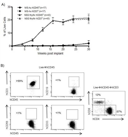 Figure 2.1: Analysis of the peripheral blood (PB) of thy/liv implanted NSG mice  demonstrates long-term reconstitution with human T cells