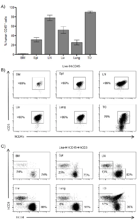 Figure 2.2: Peripheral tissues of implanted thy/liv NSG mice are extensively  reconstituted with human T cells