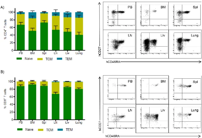 Figure 2.3: Naïve/memory phenotype of T cells in the PB and tissues of ToM. 
