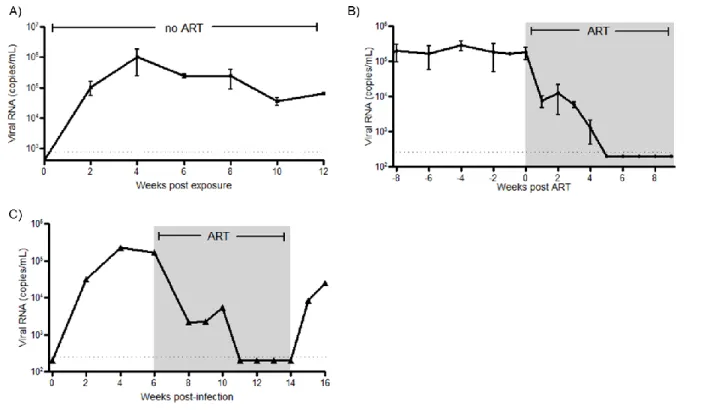 Figure 2.5: There is sustained HIV replication in ToM that can be efficiently 