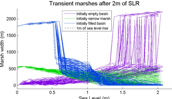 Figure 8. Change in marsh width as sea level rises for marshes that fell within the narrow marsh  width range after two meters of sea level rise
