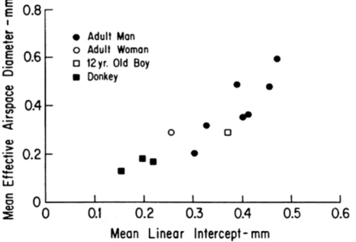 Figure 5. Comparison of the mean effective airspace diameters determined in excised  lungs by using the aerosol breath-hold technique with the mean linear intercepts  measured in the same lungs after inflation drying.