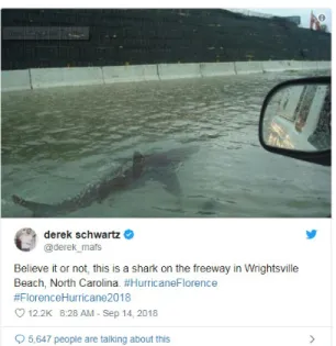 Figure 5. Post shared on Twitter of false shark report during Hurricane Florence. (Twitter)