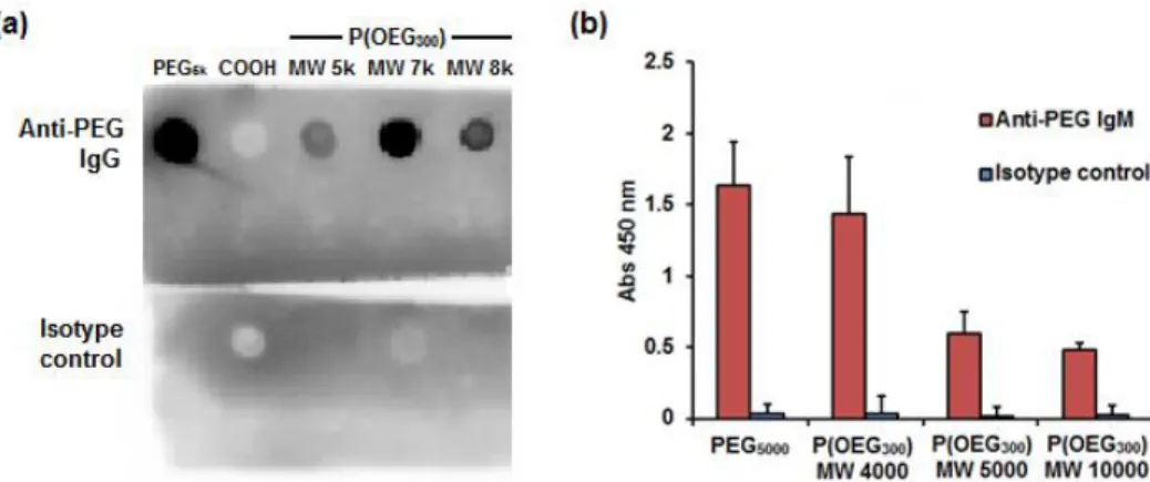Figure 2.4. Preliminary studies of mouse anti-PEG IgG and IgM binding to poly(methacrylate  PEG 300 ) [P(OEG 300 )]