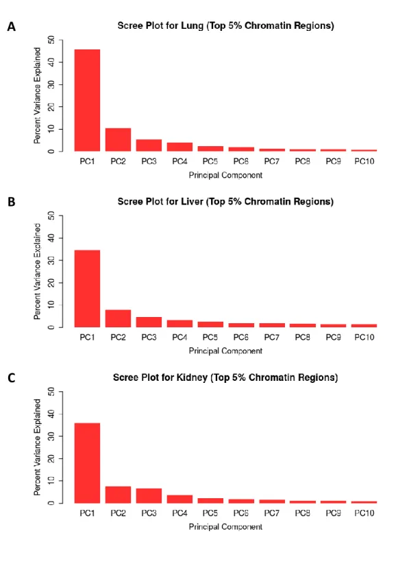 Figure 3.15.   Per-tissue top 5% chromatin windows PCA scree plots. Percent of variance  explained by the top 10 PCs for PCA of chromatin accessibility profiles for all samples using the top  5% of chromatin windows ranked by chromatin accessibility in A) 