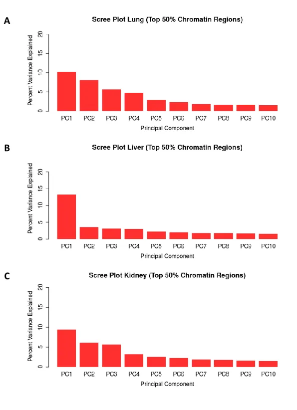 Figure 3.16.   Per-tissue top 50% chromatin windows PCA scree plots. Percent of variance  explained by the top 10 PCs for PCA of chromatin accessibility profiles for all samples using the top  50% of chromatin windows ranked by chromatin accessibility in A