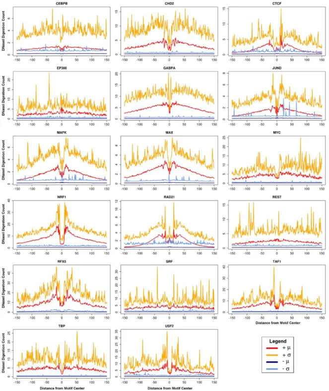 Figure 2.3.   K562 DNaseI signal profiles. K562 aggregate mean (µ) and standard deviation (σ)  DNaseI digestion profiles for the active (+) and inactive (-) motif site classes of 17 transcription  factors.