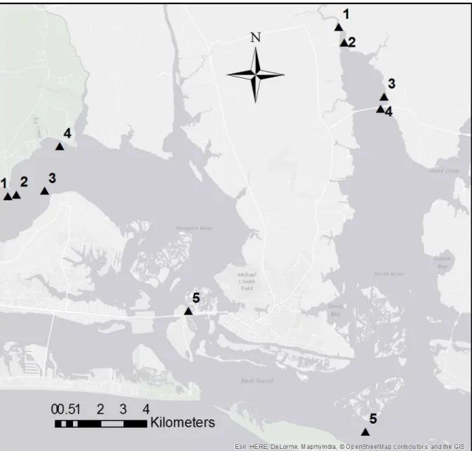 Figure 1. Study site locations in the Newport and North River Estuaries. 