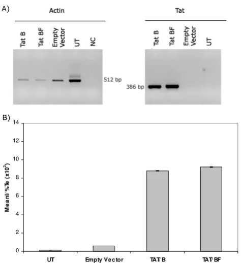 Figure 5Transactivation of GFP expression in GHOST cellsTransactivation of GFP expression in GHOST cells