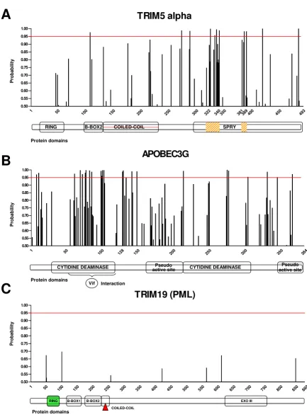 Figure 2Codons under positive selection in TRIM5α and APOBEC3GCodons under positive selection in TRIM5α and APOBEC3G