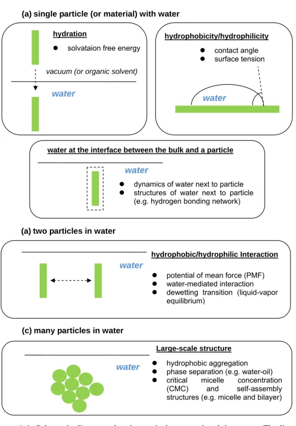 Figure 1-1. Schematic diagrams showing typical systems involving water. The list with  bullet points indicates the physical properties or phenomena of interest from a physical  chemist’s viewpoint