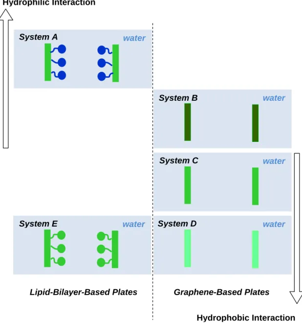 Figure 1-2. Schemactic of the model systems employed in our study. The plates in Systems A and E are based on a lipid biayer and the plates in Systems B, C and D are on graphene
