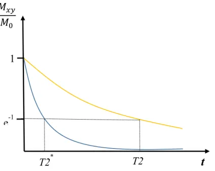 Figure  3.3:  The  decay  of  transverse  magnetization  associated  with  T2* 