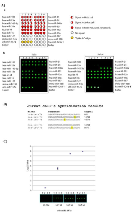 Figure 2Verification of the specificity and sensitivity of RAKE10"spike-in" target oligo